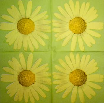 030 Margeriten - 3-lagig